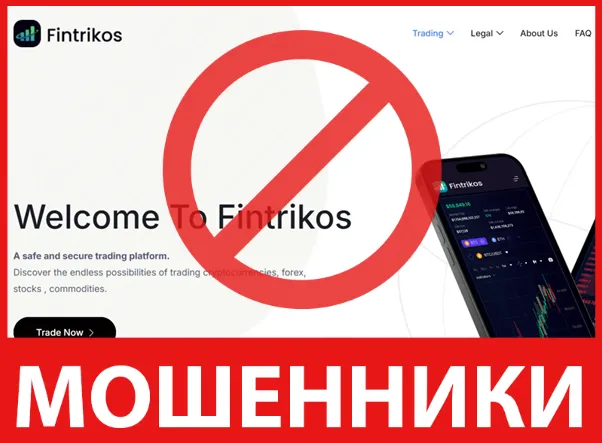 Fintrikos лицевая сторона скрин
