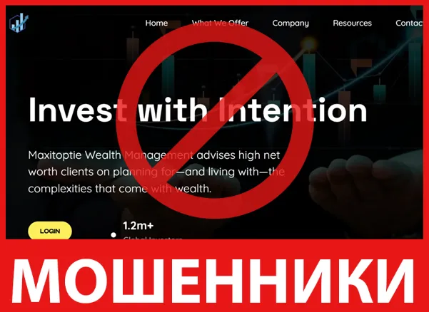 Maxitoptie лицевая сторона скрин