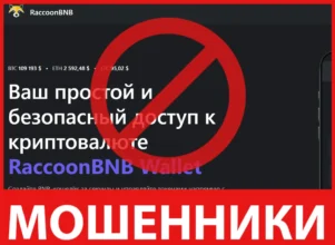 RaccoonBNB лицевая сторона скрин
