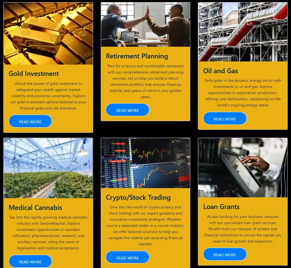 SentinelKapital 1 скрин