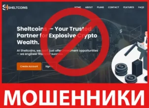 Sheltcoins лицевая сторона скрин