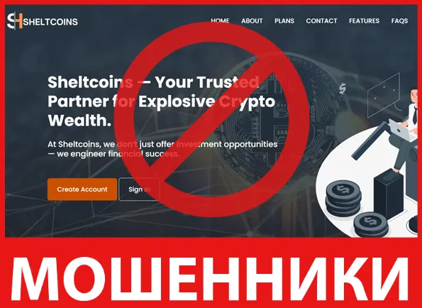 Sheltcoins лицевая сторона скрин