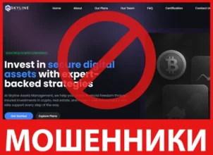 Skyline Assets Management лицевая сторона скрин