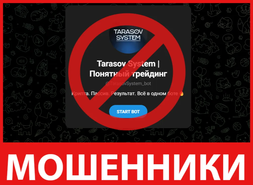 Tarasov System лицевая сторона скрин