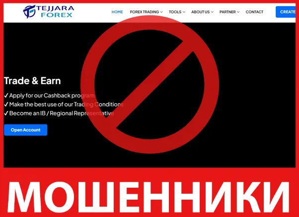 Tejjara Forex Ltd лицевая сторона скрин
