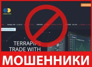 Terra Pips лицевая сторона скрин