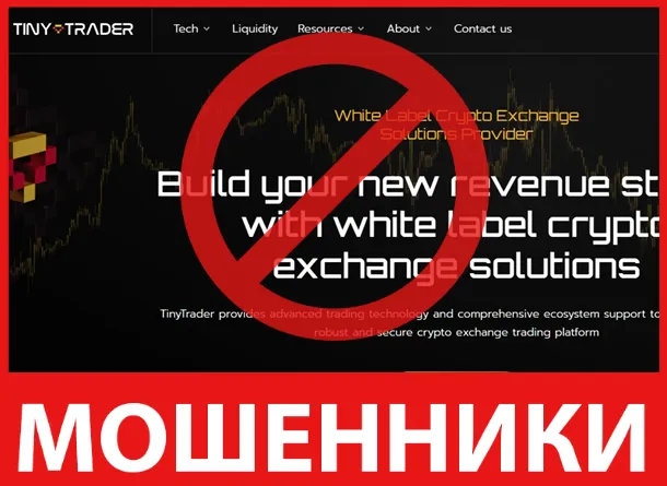 TinyTrader лицевая сторона скрин