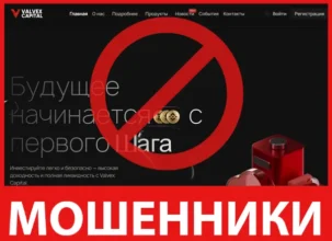 Valvex Capital лицевая сторона скрин