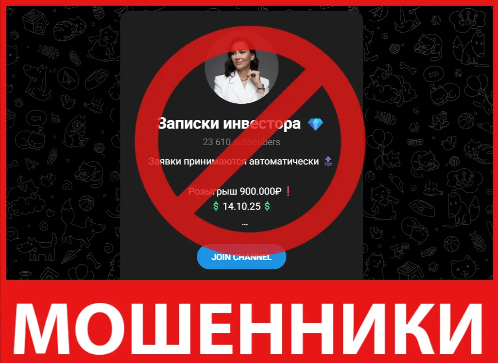 «Записки инвестора» (Ольга) лицевая сторона скрин