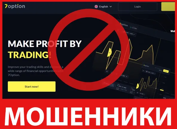 7 Option лицевая сторона скрин