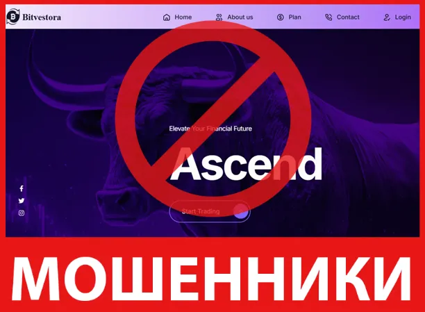 Bitvestora лицевая сторона скрин