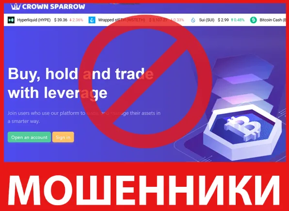 Crown Sparrow лицевая сторона скрин