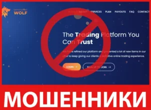 Crypto Market Wolf лицевая сторона скрин