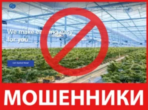 Halal Wealth Partners лицевая сторона скрин