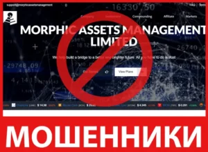 Morphic Assets Management лицевая сторона скрин