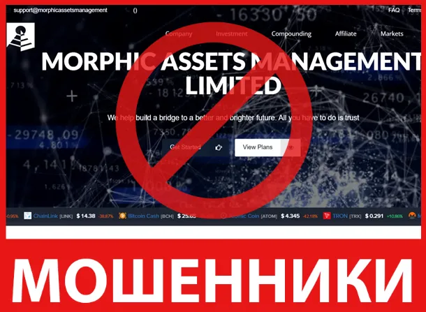 Morphic Assets Management лицевая сторона скрин