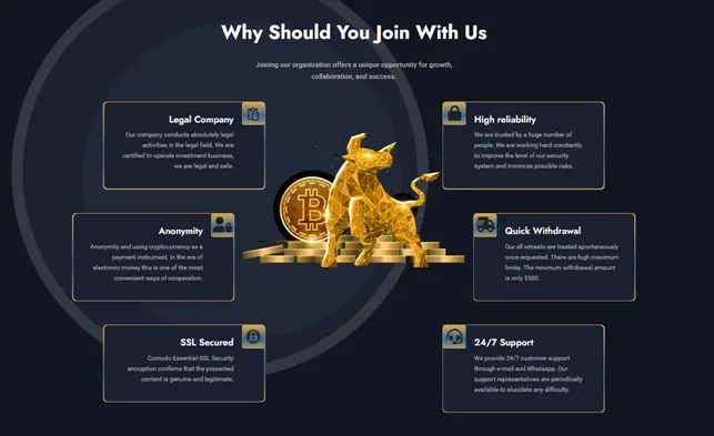 Option FX Group 2 скрин