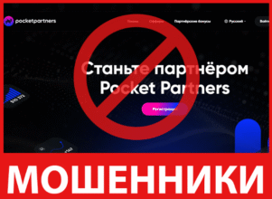 Pocket Partners лицевая сторона скрин
