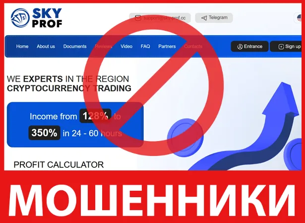 Sky Prof лицевая сторона скрин