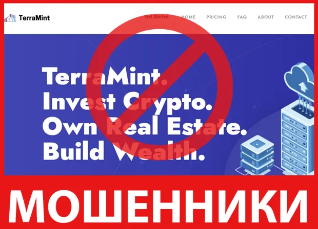 TerraMint лицевая сторона скрин