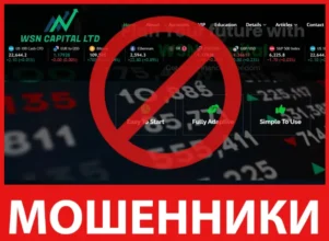 Wsn Capital Ltd лицевая сторона скрин