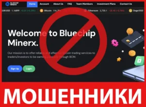 Bluechip Minerx лицевая сторона скрин