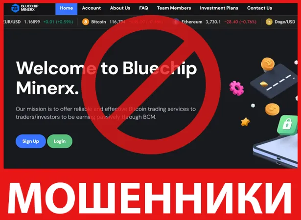 Bluechip Minerx лицевая сторона скрин