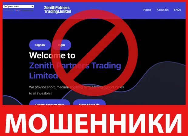 Zenith Partners Trading Limited лицевая сторона скрин
