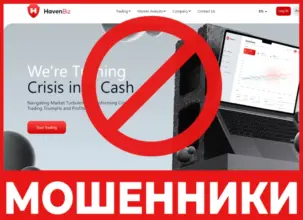 HavenBiz лицевая сторона скрин