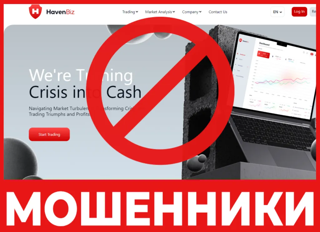 HavenBiz лицевая сторона скрин