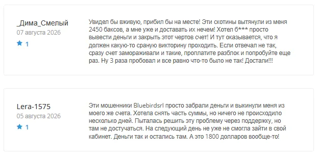 Bluebird Capital 1 скрин