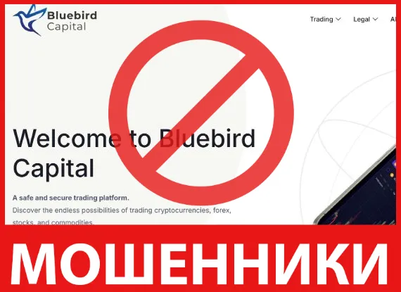 Bluebird Capital лицевая сторона скрин
