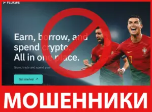 Fluxwe лицевая сторона скрин