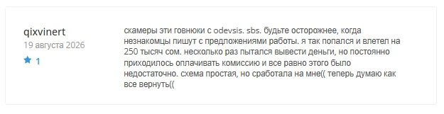 Odevsis 1 скрин