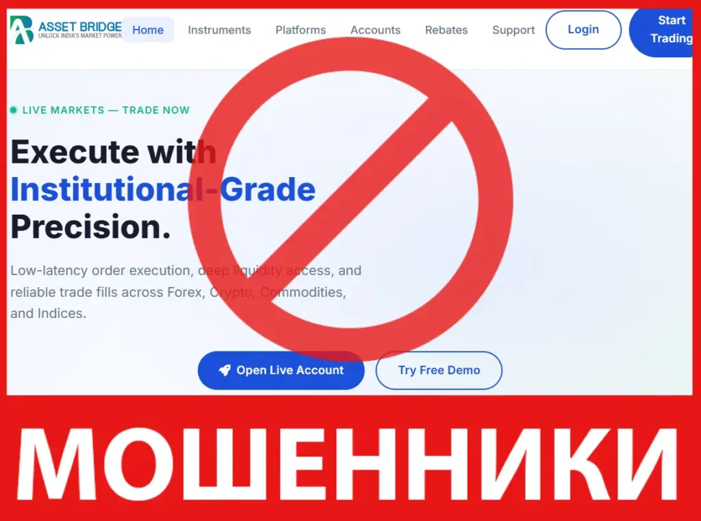 Asset Bridge лицевая сторона скрин