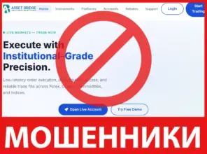Asset Bridge лицевая сторона скрин