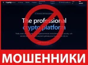 Crypdig лицевая сторона скрин