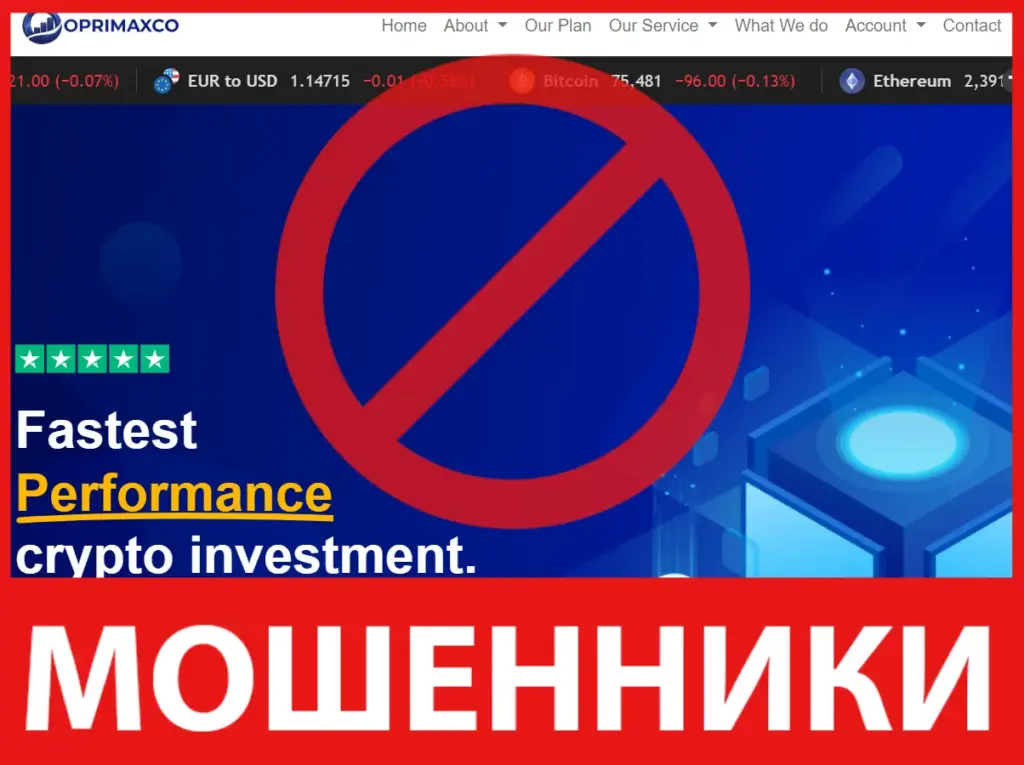 Oprimaxco лицевая сторона скрин