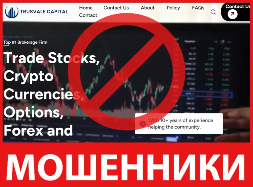 Trusvale Capital лицевая сторона скрин