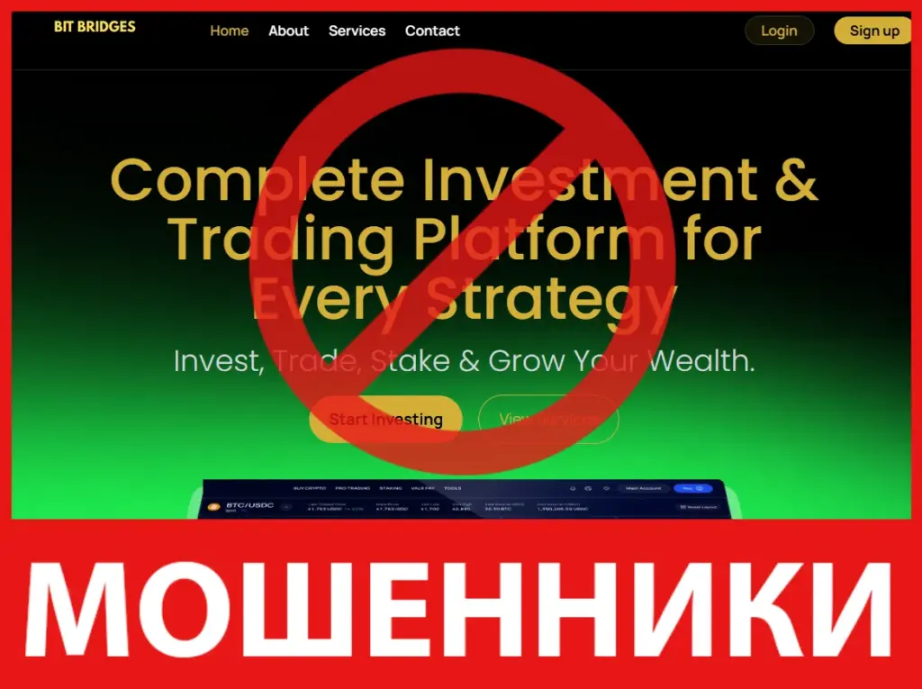 BitBridges лицевая сторона скрин