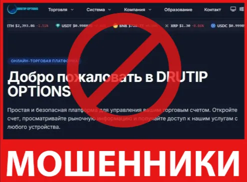 Drutip Options лицевая сторона скрин