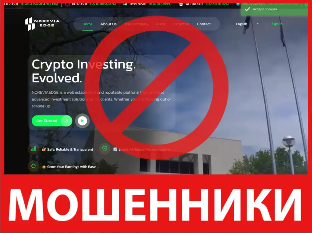 Norevia Edge лицевая сторона скрин