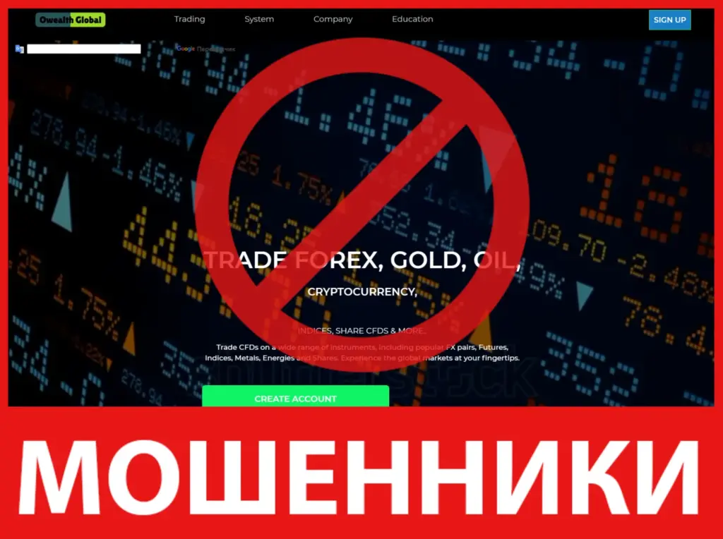 Owealth Global лицевая сторона скрин