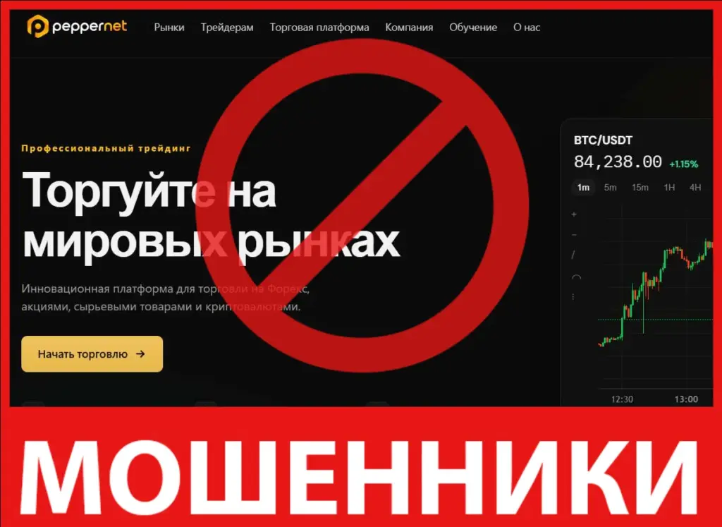 PepperNet Ltd лицевая сторона скрин