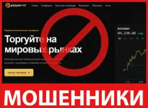PepperNet Ltd лицевая сторона скрин