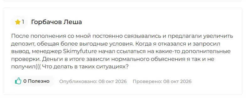 Skimyfuture 1 скрин