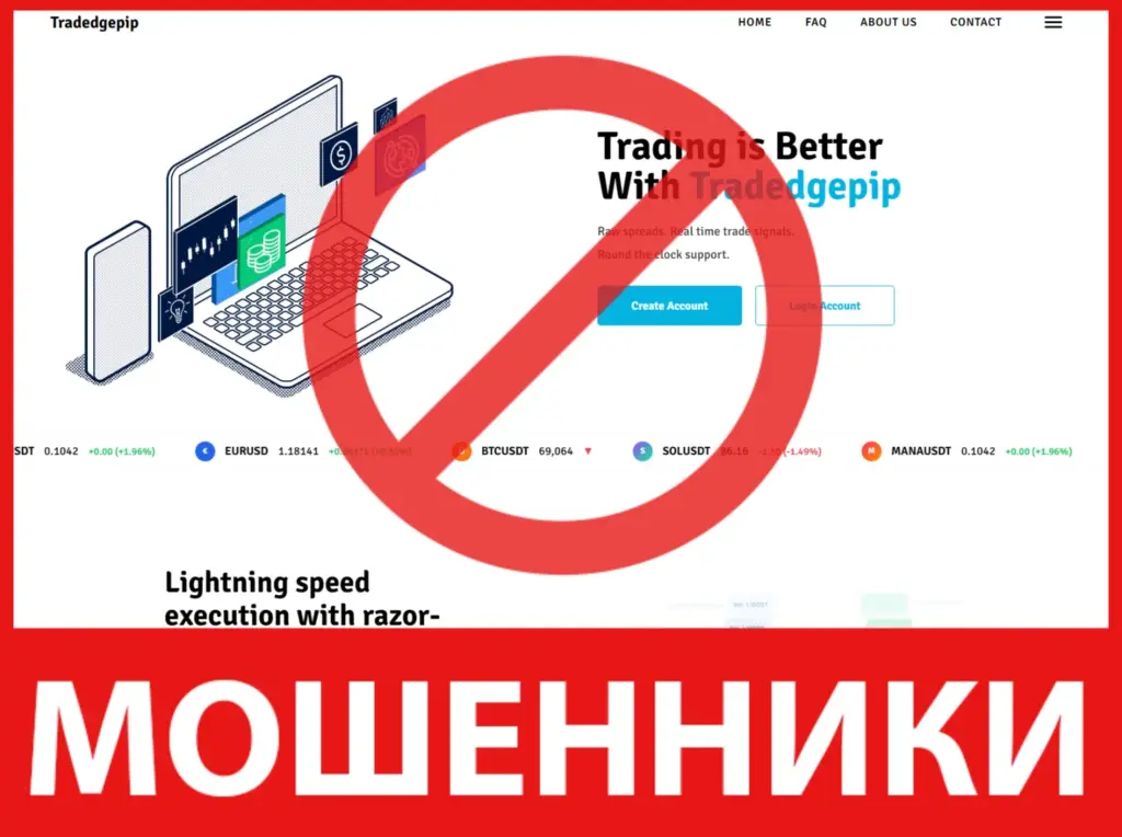 Tradedgepip лицевая сторона скрин